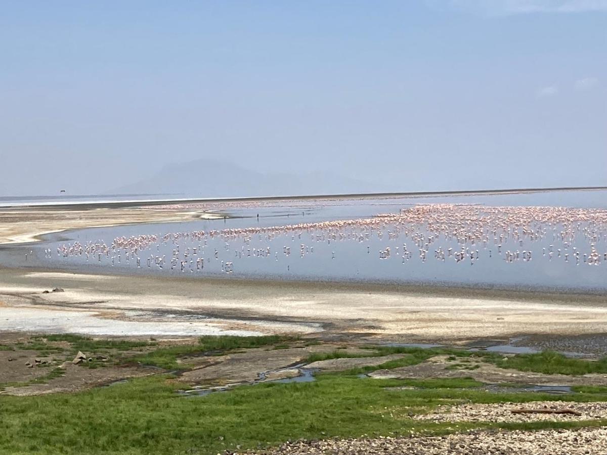Lake Natron Maasai Guesthouse Mtowabaga Екстериор снимка